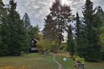 Einfamilienhaus Grafenau - 5 Zimmer, 80 m&sup2;, 950&euro; | Angebot:27556786