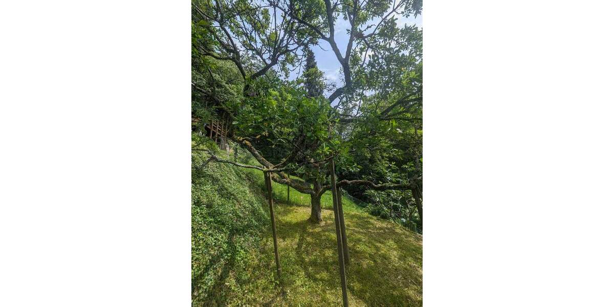 Grundstück Remshalden Geradstetten - 47.900&euro; | Angebot:25704170