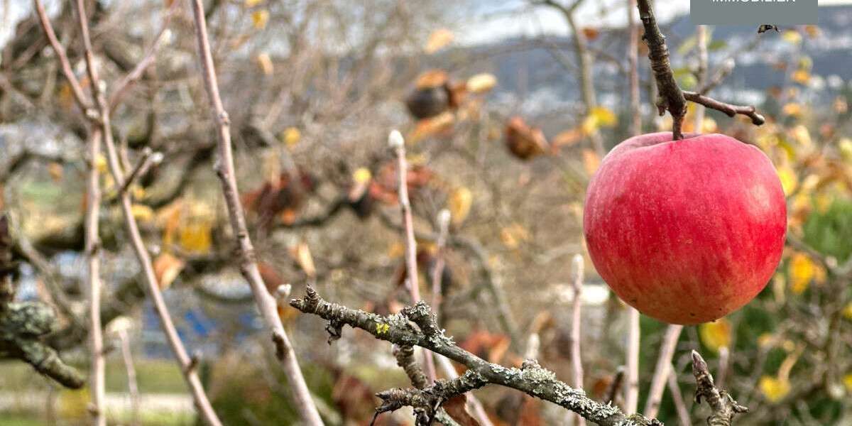 Grundstück Leonberg - 96.000&euro; | Angebot:24023465