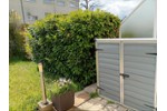 Terrassenwohnung Sachsenheim - 3.5 Zimmer, 72 m&sup2;, 309.000&euro; | Angebot:27190329