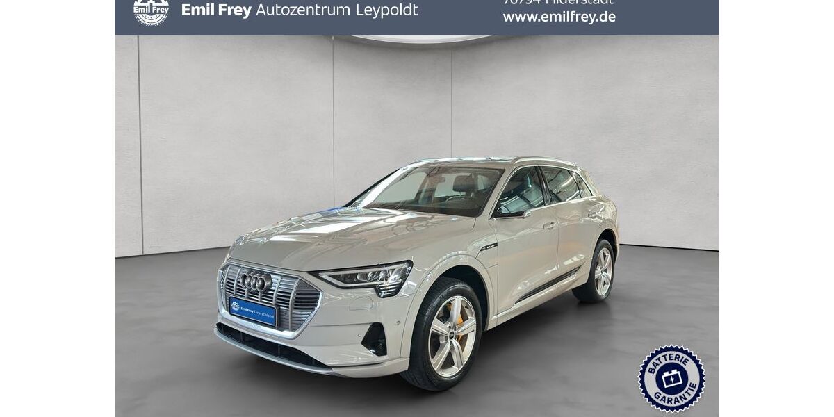 Audi e-tron 93.399 km 30.890 &euro; Filderstadt 70794
