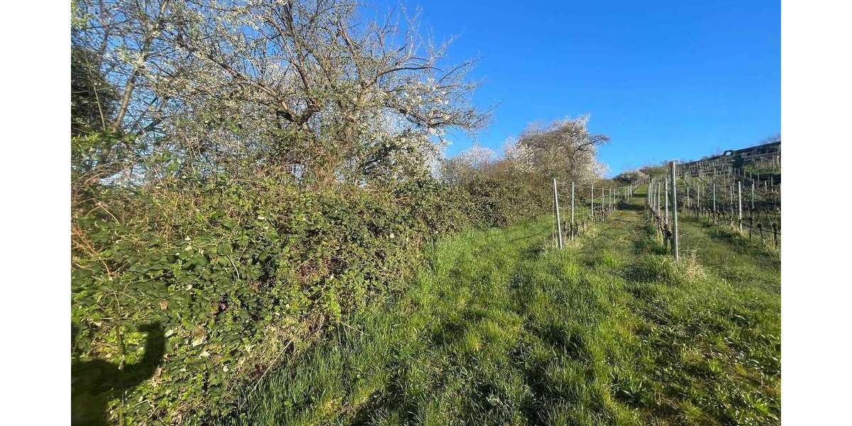 Grundstück Vaihingen an der Enz - 5.399&euro; | Angebot:27330740