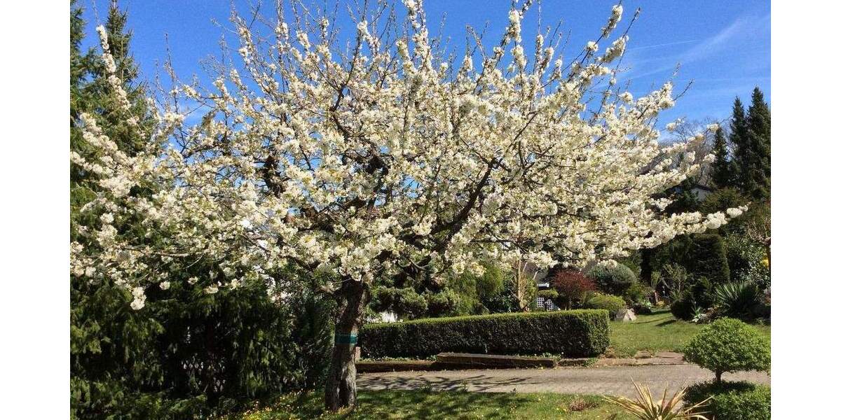 Einfamilienhaus Böblingen - 6 Zimmer, 196 m&sup2;, 895.000&euro; | Angebot:25733305