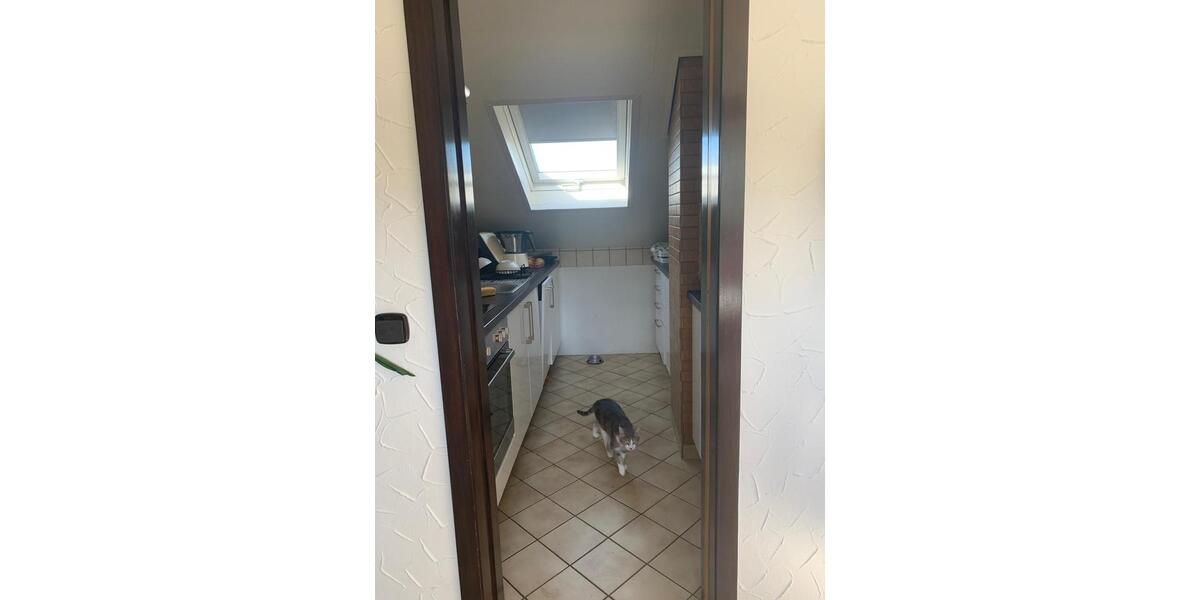 Dachgeschoßwohnung Rudersberg - 2.5 Zimmer, 55 m&sup2;, 590&euro; | Angebot:26364904