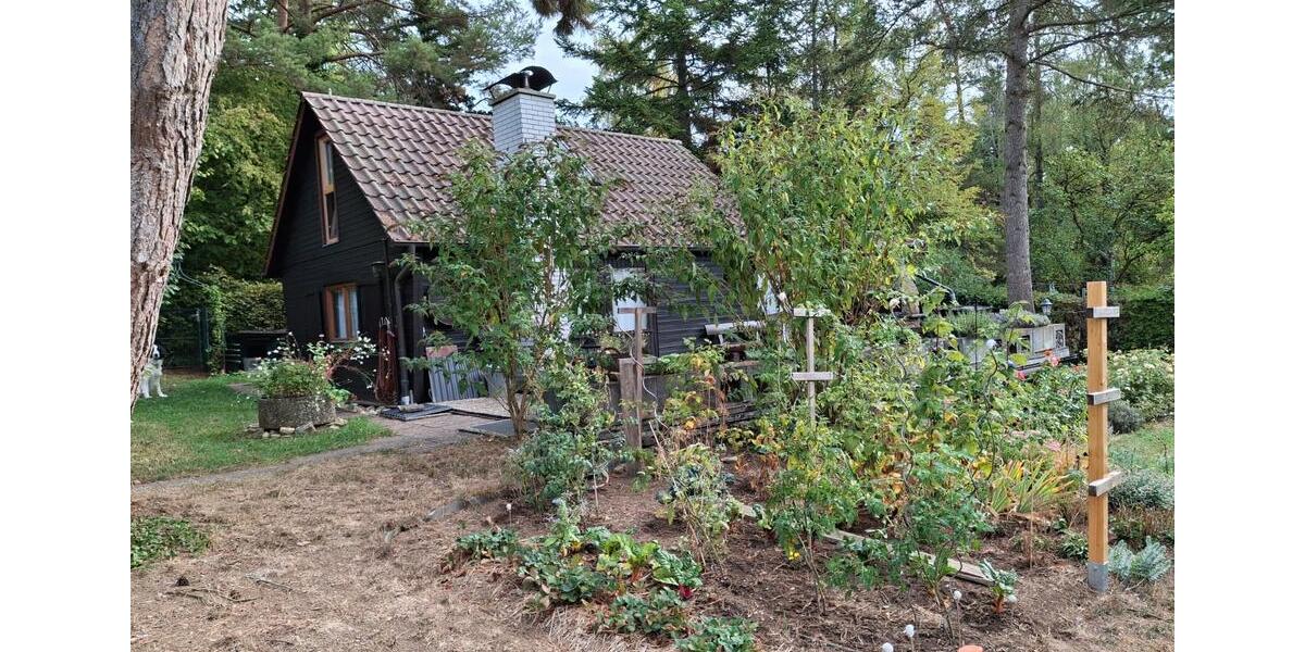 Einfamilienhaus Grafenau - 5 Zimmer, 80 m&sup2;, 950&euro; | Angebot:27556786