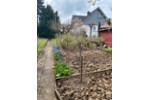 Einfamilienhaus Talheim - 4 Zimmer, 120 m&sup2;, 600.000&euro; | Angebot:27207852