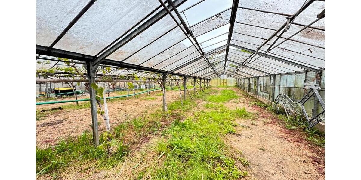 Gewerbeobjekt Großbottwar - 490&euro; | Angebot:25245138