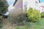 Einfamilienhaus Leinfelden-Echterdingen Leinfelden - 6 Zimmer, 549.000&euro; | Angebot:26584470