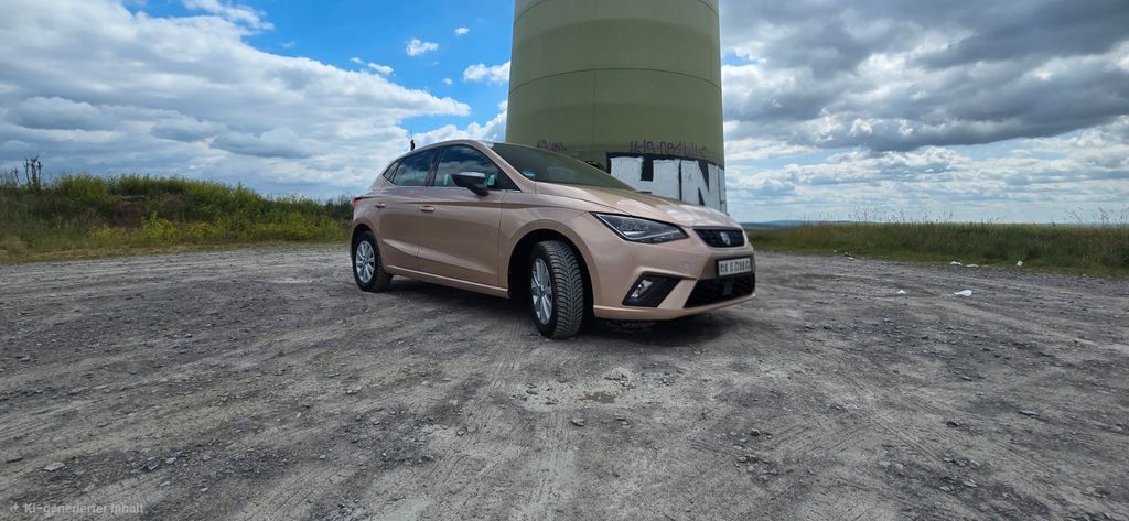 Seat Ibiza 45.000 km 11.999 &euro; Ingersheim 74379