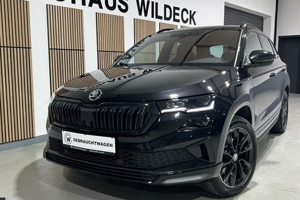 Skoda Karoq 97.200 km 28.990 &euro; Abstatt 74232