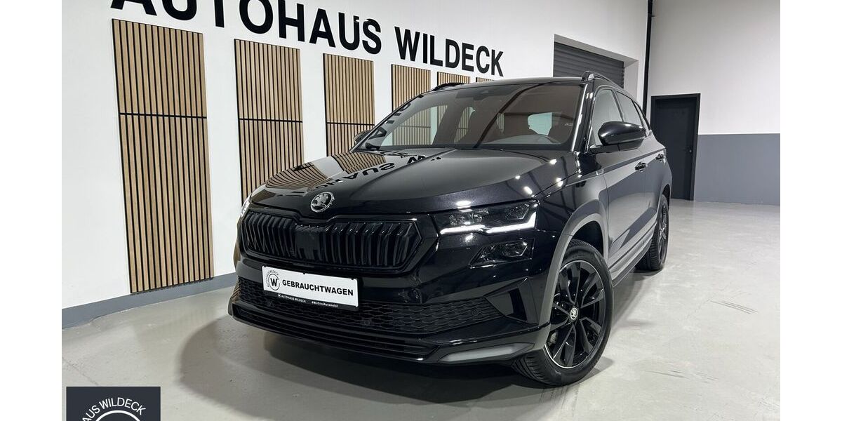 Skoda Karoq 97.200 km 28.990 &euro; Abstatt 74232