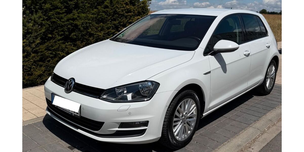 VW Golf 174.000 km 13.990 &euro; Korntal-Münchingen 70825