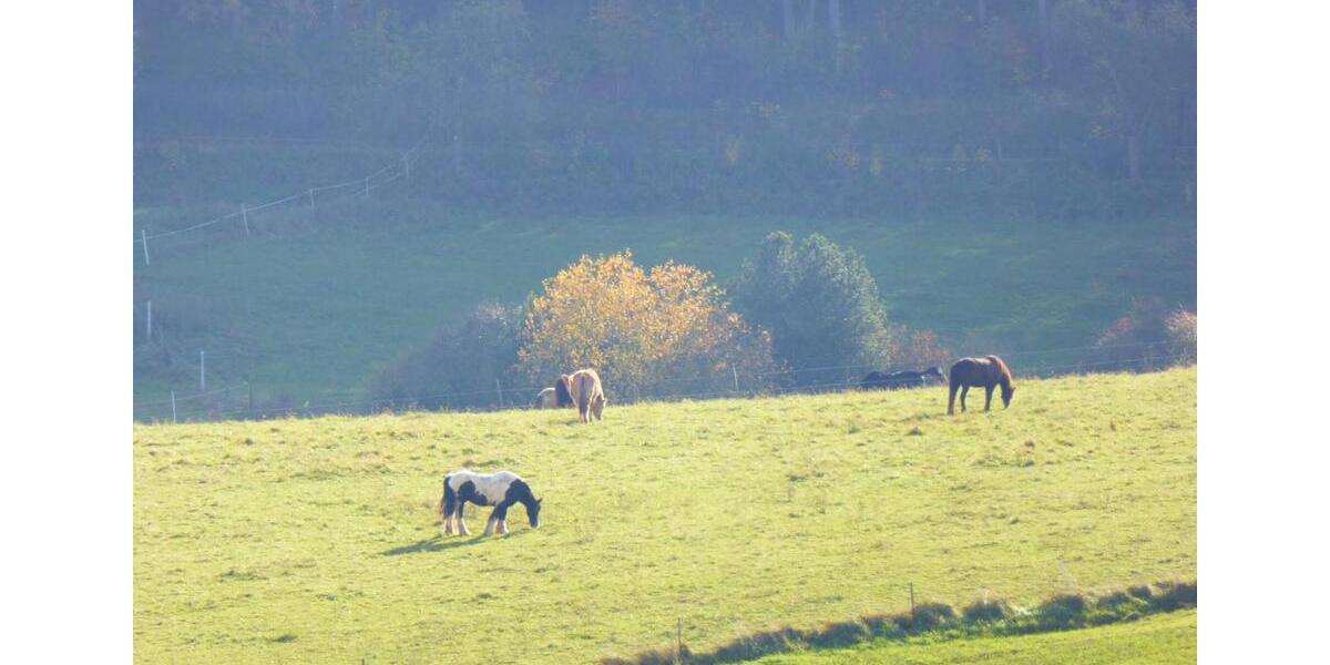 Einfamilienhaus Wimsheim - 6 Zimmer, 200 m&sup2;, 2.000&euro; | Angebot:25224769