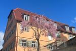 Etagenwohnung Schwieberdingen - 3 Zimmer, 95 m&sup2;, 1.520&euro; | Angebot:26458253