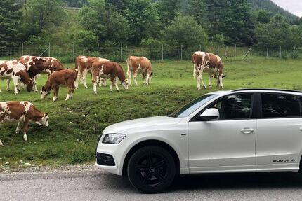 Audi Q5 172.500 km 13.999 &euro; Nordheim 74226