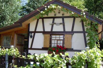 Grundstück Oberstenfeld - 290.000&euro; | Angebot:23941440