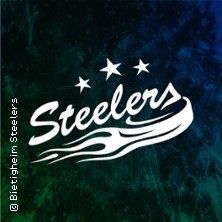 Bietigheim Steelers - Düsseldorfer EG 21.08.2026 EgeTrans Arena