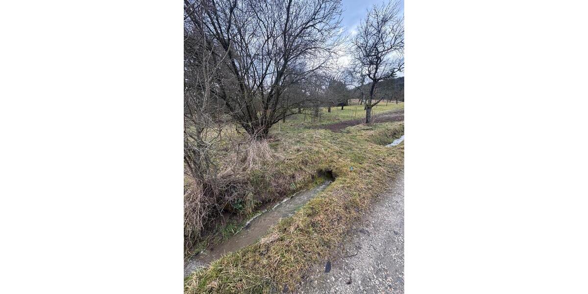 Grundstück Kernen im Remstal - 20.000&euro; | Angebot:25174611