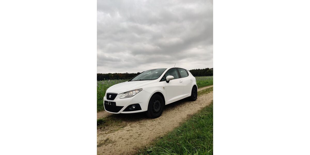 Seat Ibiza 177.000 km 3.600 &euro; Esslingen 73728