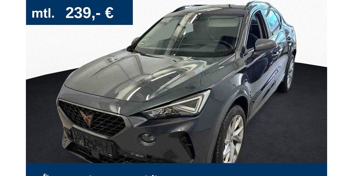 Cupra Formentor 48.972 km 21.960 &euro; Kornwestheim 70806