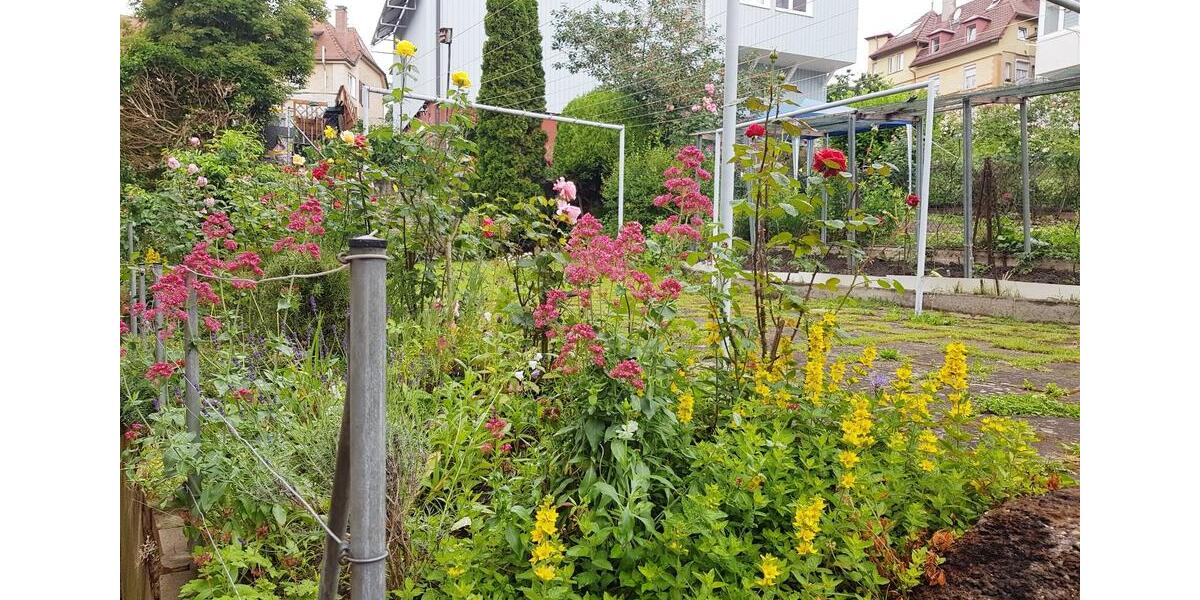 Erdgeschoßwohnung Stuttgart Stuttgart-Ost - 1 Zimmer, 13 m&sup2;, 440&euro; | Angebot:26084833
