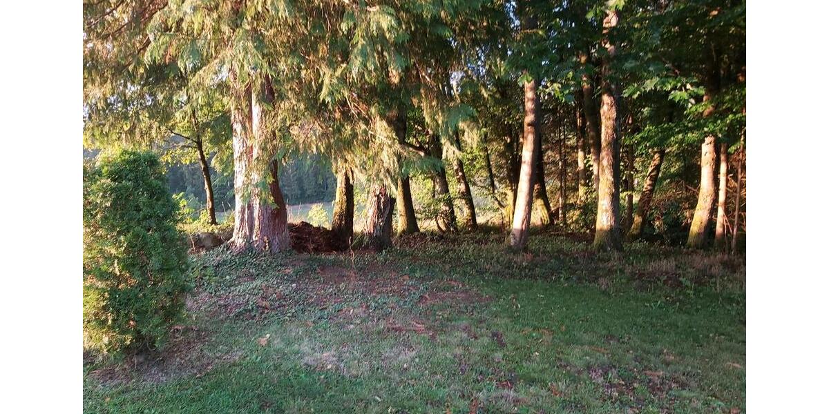Einfamilienhaus Großerlach - 3 Zimmer, 46 m&sup2;, 132.000&euro; | Angebot:26637792
