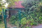 Gartengrundstück in Toplage von Esslingen - Wittumweinberge oberhalb der Burg - Grundstück Esslingen am Neckar Hohenkreuz | Angebot:27549076