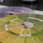 Weinseminar: Weinsensorik