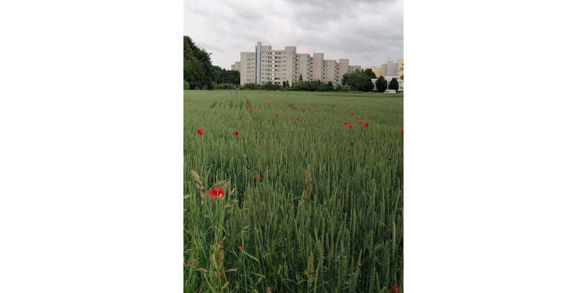 Etagenwohnung Stuttgart Möhringen - 3 Zimmer, 94 m&sup2;, 399.000&euro; | Angebot:25996832