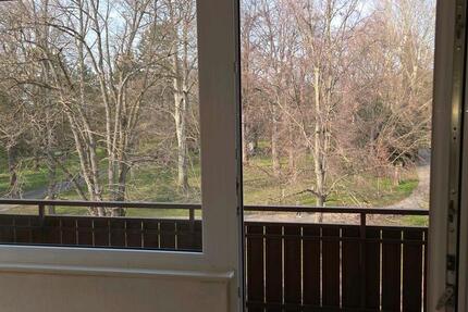 Wohnung Heilbronn Kernstadt - 3 Zimmer, 100 m&sup2;, 1.150&euro; | Angebot:25408338