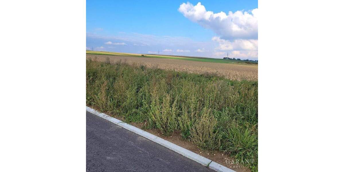 Grundstück Ditzingen - 609.000&euro; | Angebot:25707772