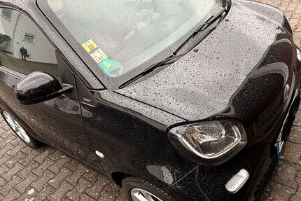 Smart ForTwo 110.000 km 6.100 &euro; Weinsberg 74189