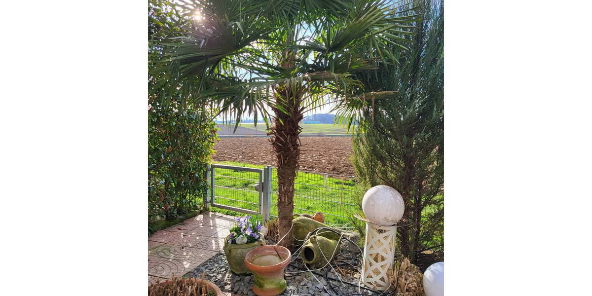 Terrassenwohnung Untergruppenbach - 3 Zimmer, 93 m&sup2;, 389.000&euro; | Angebot:25996835