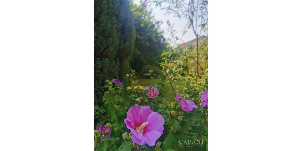 Einfamilienhaus Backnang - 6 Zimmer, 168 m&sup2;, 599.000&euro; | Angebot:25707706