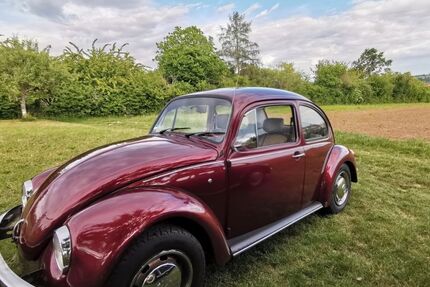 VW Käfer 139.849 km 6.600 &euro; Beilstein 71717