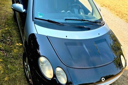 Smart ForFour 165.100 km 2.250 &euro; Leutenbach 71397