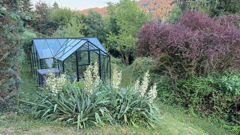 Einfamilienhaus Murrhardt - 629.000&euro; | Angebot:26961289
