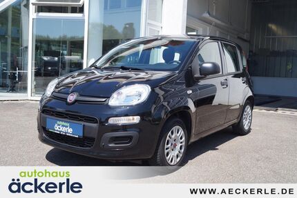 Fiat Panda 36.100 km 9.999 &euro; Korb 71404
