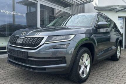 Skoda Kodiaq 149.975 km 21.980 &euro; Wendlingen am Neckar 73240