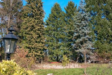 Grundstück Großerlach - 131.200&euro; | Angebot:25819178