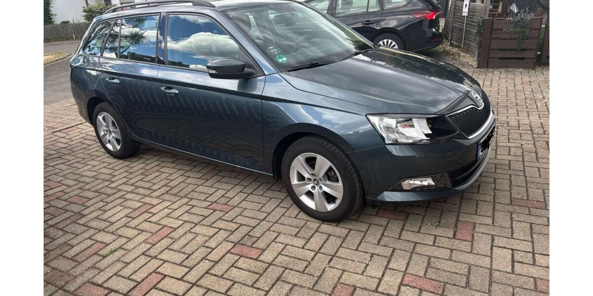 Skoda Fabia 99.000 km 8.999 &euro; Steinenbronn 71144