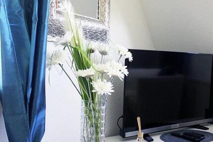 Wohnung Stuttgart Luginsland - 1 Zimmer, 24 m&sup2;, 480&euro; | Angebot:25923415