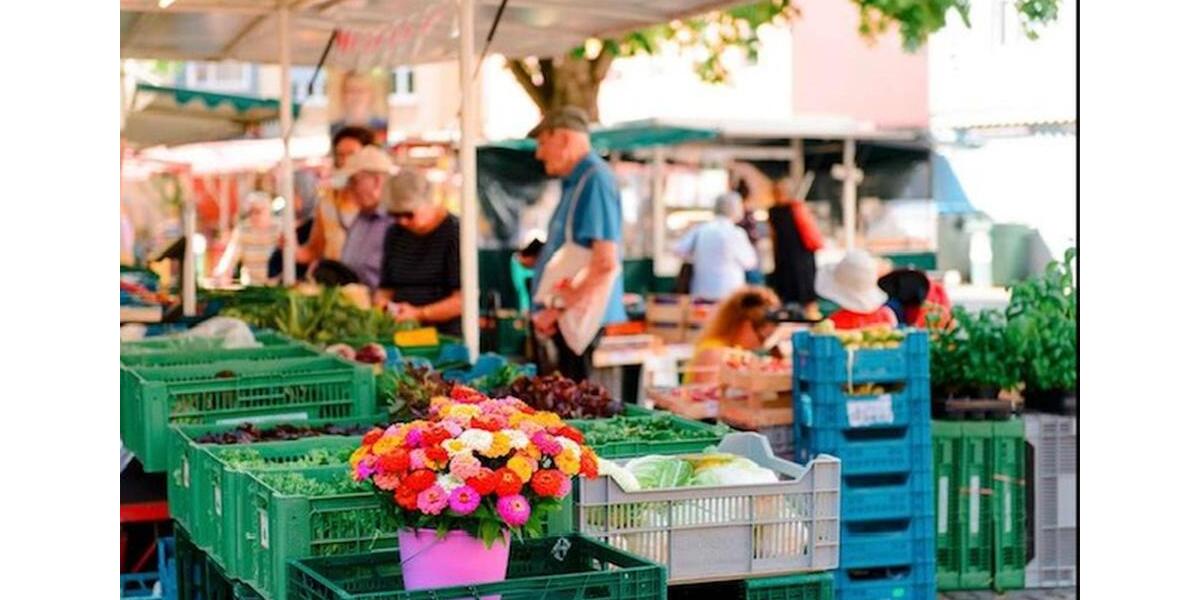 Loft - Studio - Atelier Stuttgart Bad Cannstatt - 2 Zimmer, 60 m&sup2;, 880&euro; | Angebot:25867019