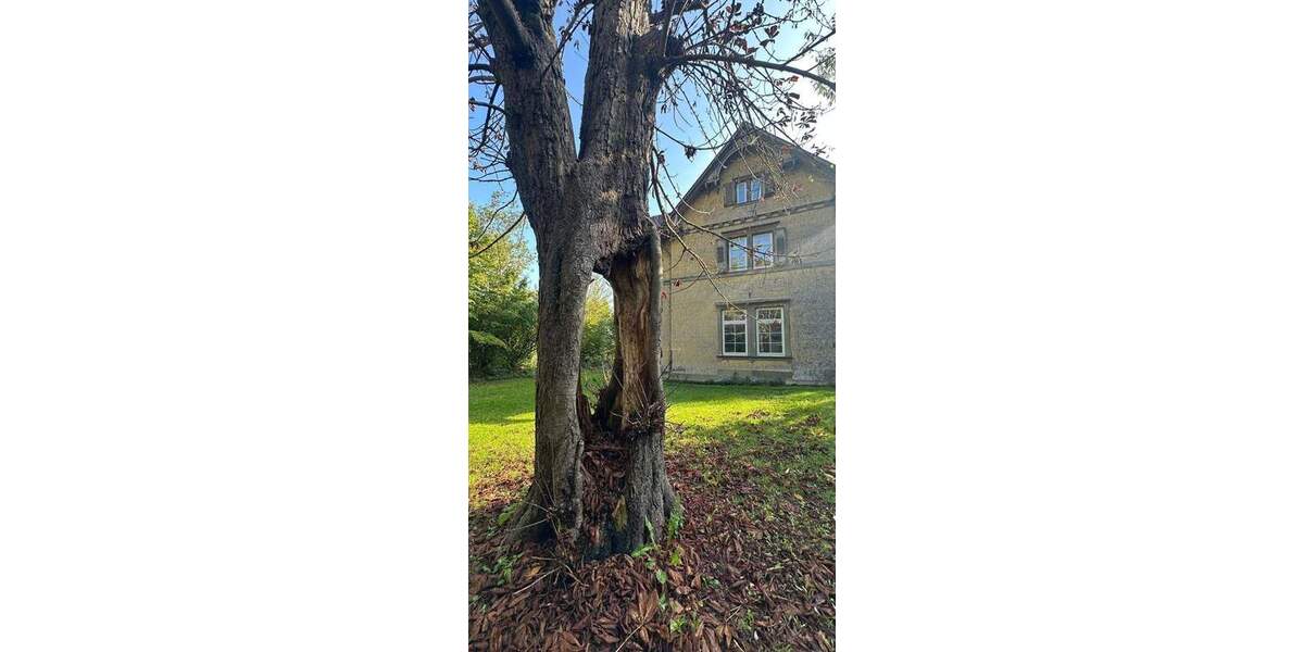 Mehrfamilienhaus, Wohnhaus Weil der Stadt Schafhausen - 1 Zimmer, 395 m&sup2;, 1.150.000&euro; | Angebot:25737008