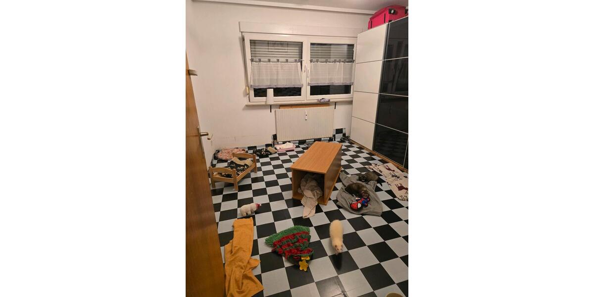 Etagenwohnung Stuttgart Stuttgart-West - 3.5 Zimmer, 86 m&sup2;, 350.000&euro; | Angebot:25963269