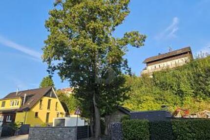 VIELSEITIGER RAUM FÜR LEBEN UND ARBEIT IN TOP-LAGE - Grundstück Steinheim an der Murr | Angebot:26918174