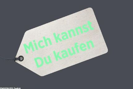 Ford Kuga 30.500 km 18.350 &euro; Ingersheim 74379