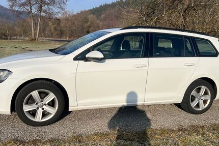 VW Golf 335.000 km 6.000 &euro; Spiegelberg 71579