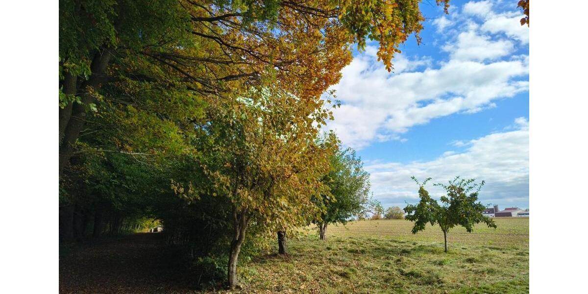 Grundstück Schorndorf - 44.990&euro; | Angebot:25174616