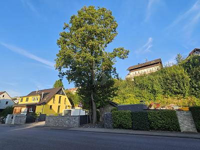 VIELSEITIGER RAUM FÜR LEBEN UND ARBEIT IN TOP-LAGE - Grundstück Steinheim an der Murr | Angebot:27199269